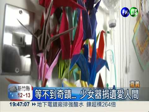 17歲少女器捐遺愛人間 造福5人