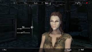 Skyrim SE (mods) - Test CBBE AIO and Replacer