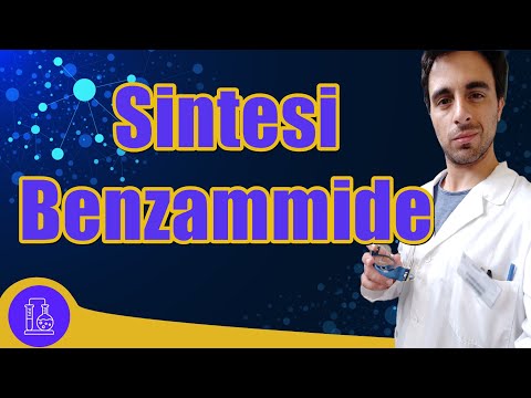 Sintesi della N,N-dietilbenzammide / Esercizio Chimica Organica spiegato