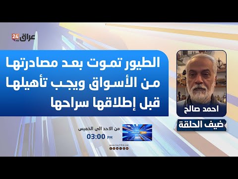 احمد صالح : الطيور تموت بعد مصادرتها من الأسواق ويجب تأهيلها قبل إطلاقها سراحها. احمد صالح - ناشط بيئي. لمشاهدة اللقاء كامل ادناه 