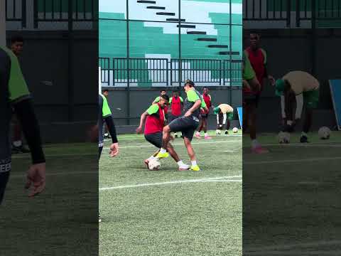 CANETA NO PROFISSIONAL 🖊️