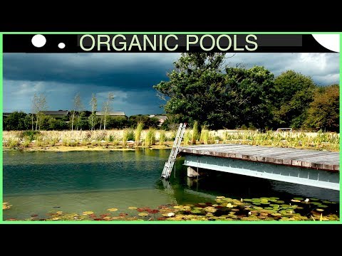 Creating a Massive Organic Pool in 4 minutes