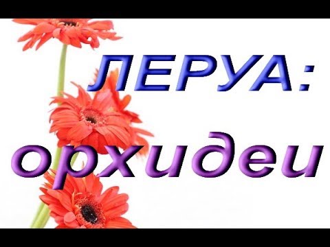 ЛЕРУА:ОРХИДЕИ,ТЦ "Космопорт",Самара,01.06.2019.