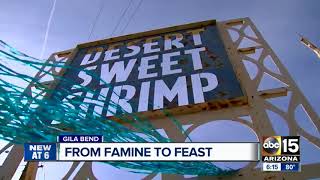 Desert Sweet Shrimp farm that fell on hard times is back in business in Arizona