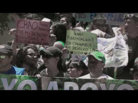 BOLAREGG - Mamá Cultiva (Official Video)