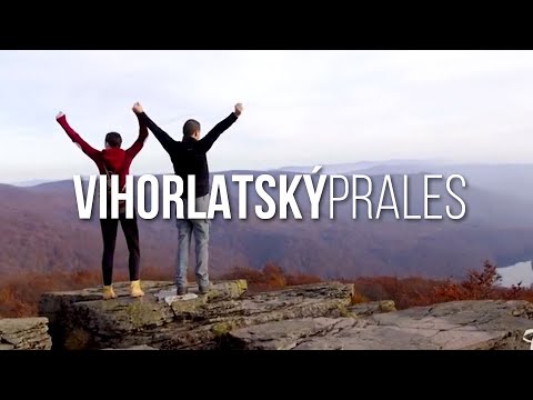 Vihorlat Primeval Forest