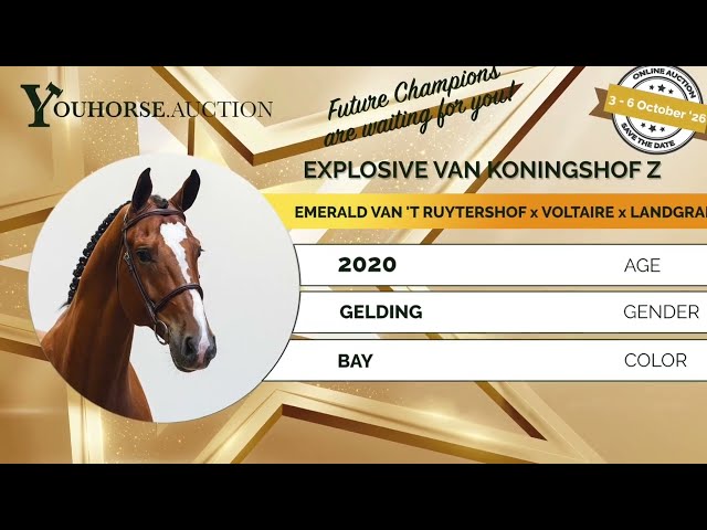 Explosive van Koningshof showvideo