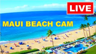 🐳 LIVE 24/7 🌴 4K MAUI LIVE CAM! * WHALE WATCH CAM * www.WhalerCondo.net live webcam