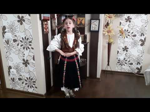 #fdc2021 -  Muresan Larissa Estera  - din:  Timisoara  - Profesor coordonator:  Desanca Lalici