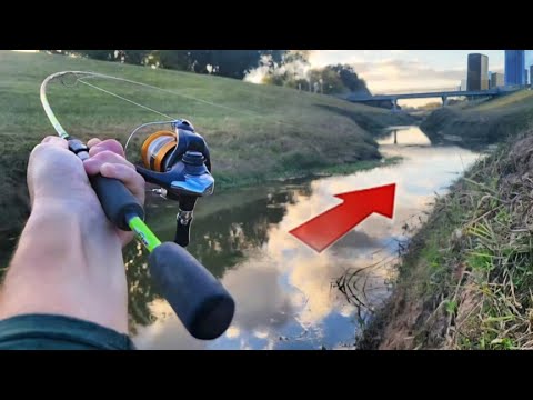 Houston's Unknown Creeks are Loaded with Fish!