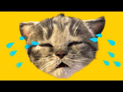Cute Cat - Little Kitten Adventure  🫶😺Play Fun Cute Kitten Pet Care Learning stories for kids