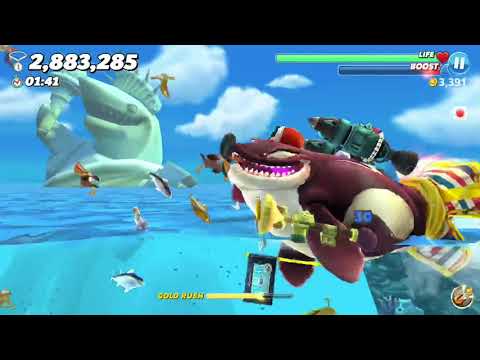 Highscore in Bay Special Map !! Sharks Live Contest - Hungry Shark World