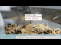 Sesame Color Sorter Machine Www Selectionmachines Com