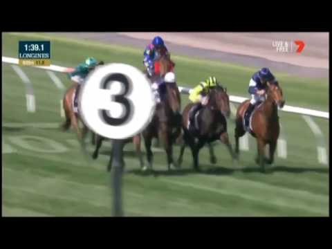 Winx - 2017 Turnbull Stakes