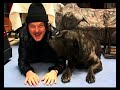 *RARISSIMO* Zucchero - Sento Le Campane (Videoclip On Studio)