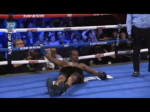 Eleider Alvarez highlight reel knockout finishes Michael Seals | Full Fight Highlights