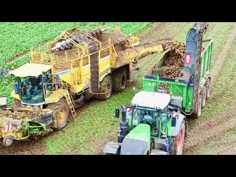 Sugarbeet Harvest January 2020