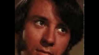 Michael Nesmith & The First National band-Lady of the Valley.avi