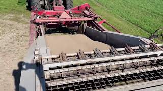 Reekie 2150 B potato harvester | Image 4 - Agroline
