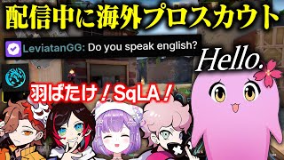 RIDDLEやめます【 VALORANT 】【 SqLA 】