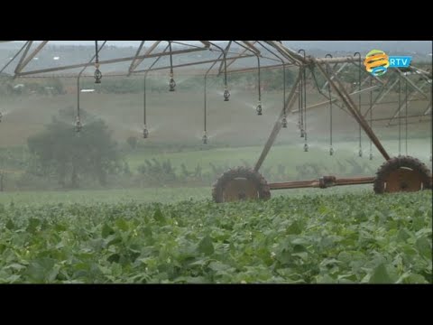 NASHO: Uko kureba kure byarinze abaturage amapfa