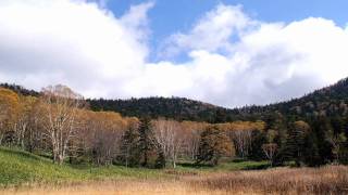 Adeste Fideles (piano solo)