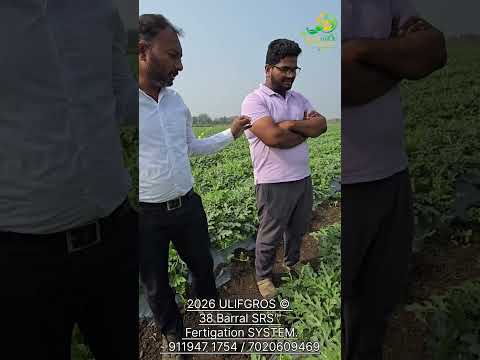 Ulifgros introduction video