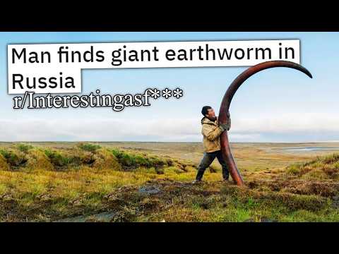 R Interesting