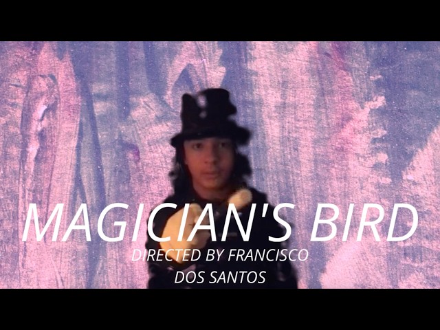 The Magician's Bird | Full Film | Directed By Francisco Dos Santos