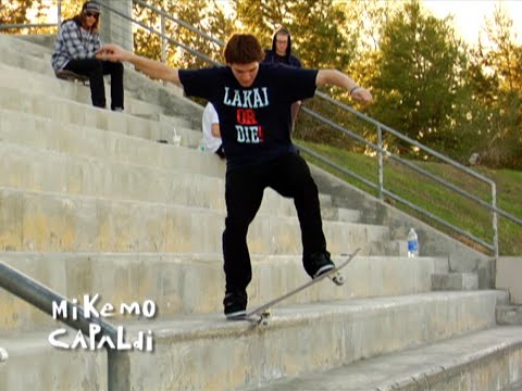 WILD POWER - MONTAGE #2