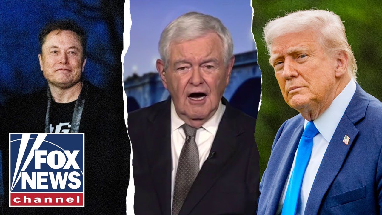Elon Musk 'kind of forgot' this about Trump: Newt Gingrich