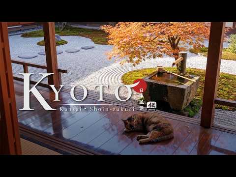 Relaxing Piano & Gentle Japanese Forest Sounds 🍃 Calm Nature Ambience | Bi Zen