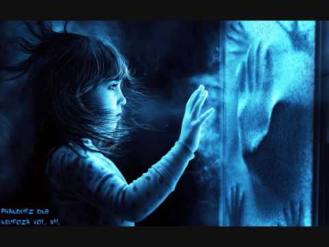 PhanDurz DnB Neurofunk Vol. XIII.