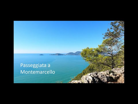Passeggiata nel Bosco di Montemarcello, Liguria #passeggiata #liguria