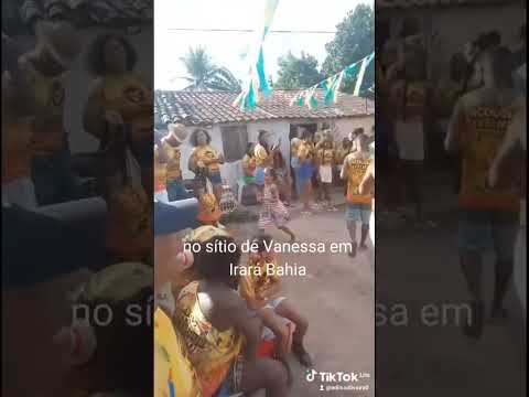 n  sitio da Vanessa Irará Bahia