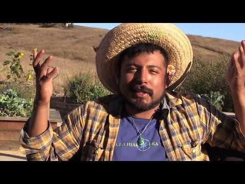 Queer Gardening: Experiences and Viewpoints - Edgar Xochitl