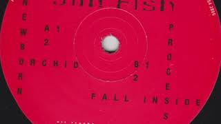 Jim Fish - Processed