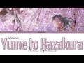 Japanese Song Yume To Hazakura Wotamin KAN ROM ENG