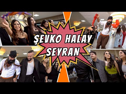 KURDISH ŞEVKO HALAY - Grup SEYRAN - Rozerin & Gökhan - Lörrach / cemvebiz production®