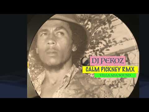 dj pekoz - calm pickney rmx