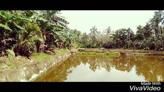 preview picture of video 'Tempat Pemancingan Di Desa Tarun (Talaud)'