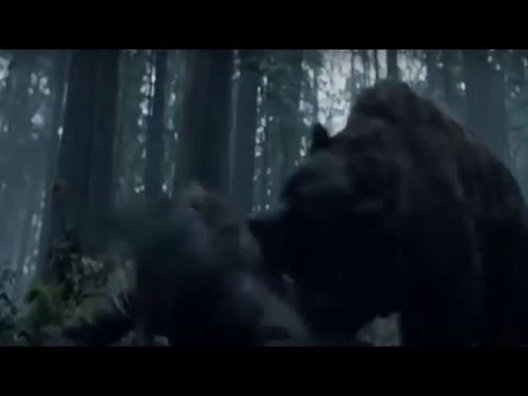 Cristii ??? Ba Cristi, hai ca ma musca asta