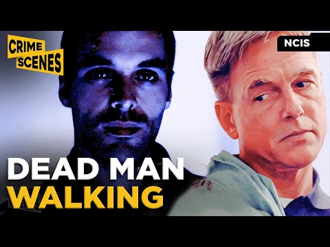 Hostage Situation at NCIS: Gibbs Take A Shot | NCIS (Mark Harmon, Sasha Alexander)