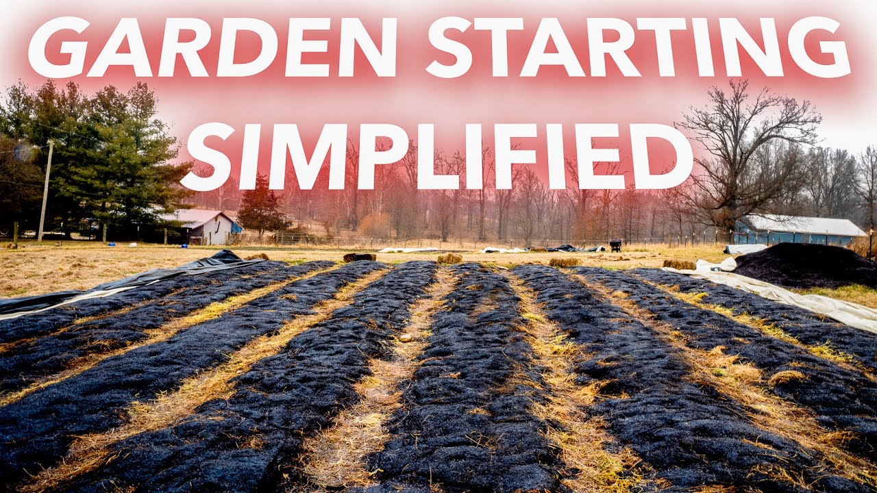 How to Start a No-Till Garden from Scratch