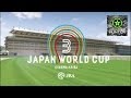 Japan World Cup 3