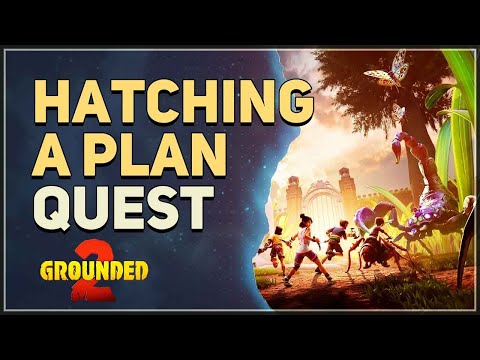 Hatching a Plan Grounded 2