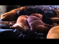 Ernie Snoring