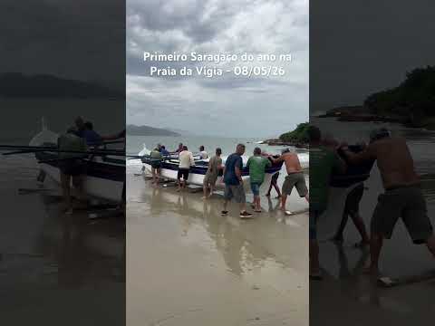 Primeiro Saragaço do ano na Praia da Vigia - 08/05/26