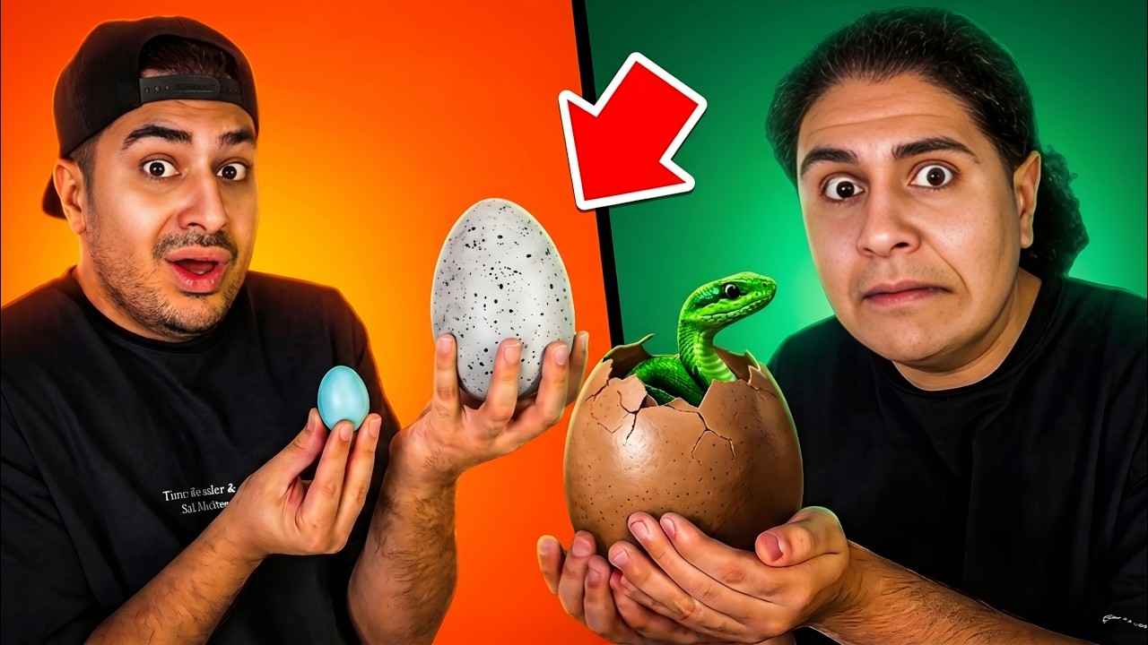 از کوچیک ترین تا بزرگ ترین تخم هارو خوردیم😂 تخم مار🤢