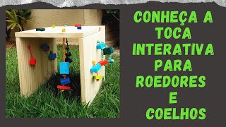 Vídeo de Toca Interativa P para roedores Little Dreams